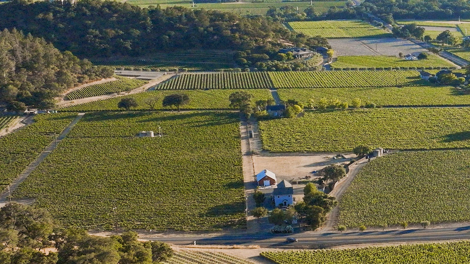 Cliff Lede Vineyards estate and Andelin Vineyard in Napa's Stags Leap District