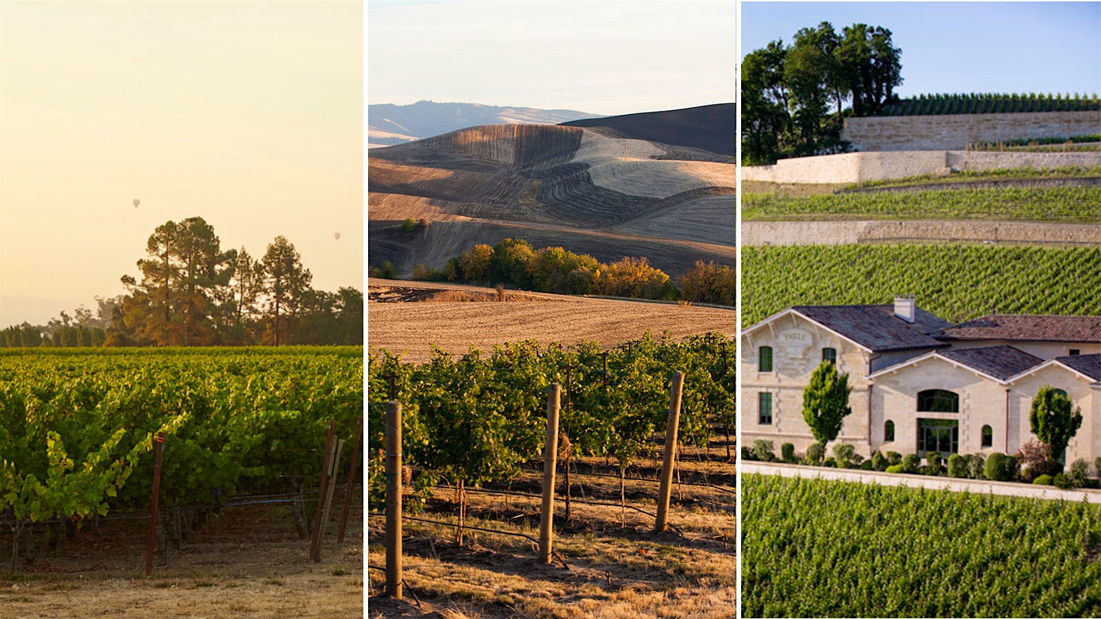 Three very different vineyards: To-Kalon in Napa Valley, Waterbrook Estate vineyard in Washington and Château Pavie in Bordeaux's St.-Emilion appellation