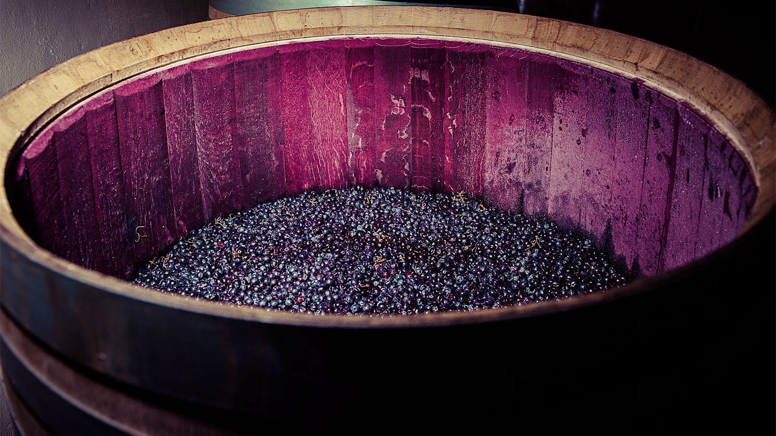 A wood vat of red grapes at Bodegas Marqués de Cáceres in Spain's Rioja region
