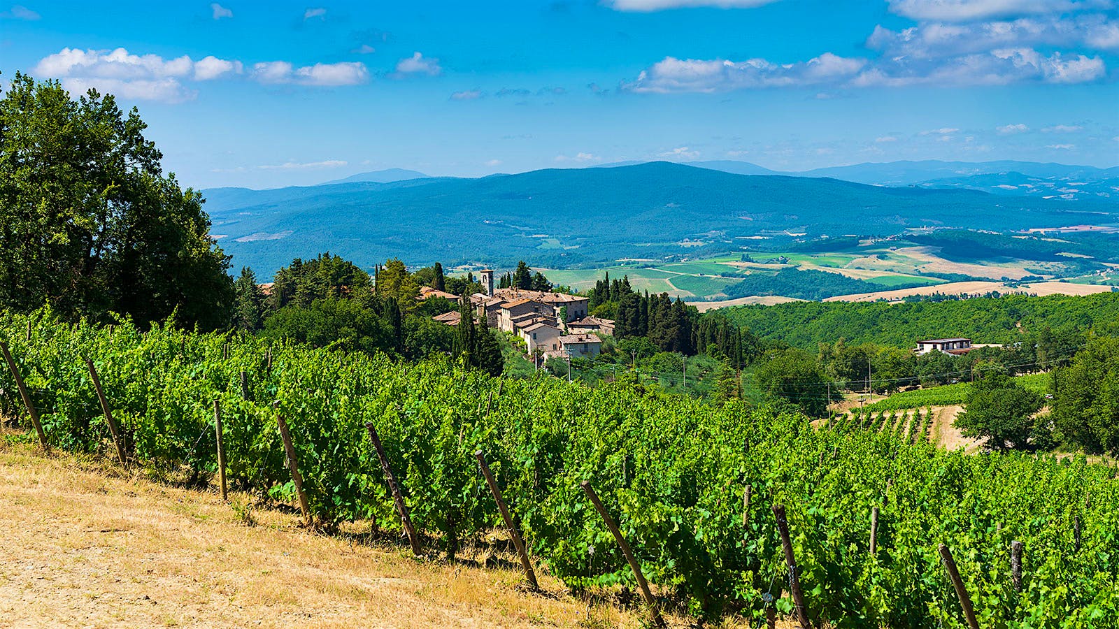 Mazzei's Castello di Fonterutoli estate in Tuscany